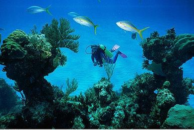 愿望单突破200万！《生化危机9》成明年最受期待游戏